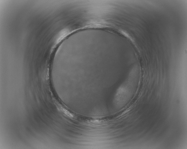 X0000078871459200612041945