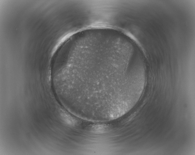 X0000078871461200612041945