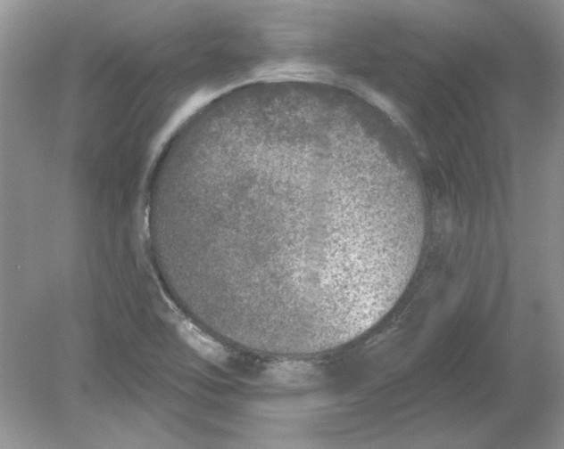 X0000078871462200612041945