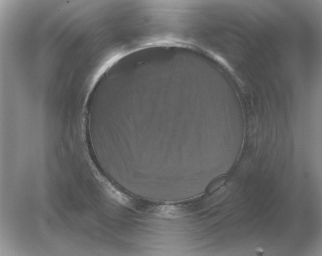 X0000078871463200612041945