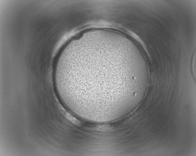 X0000078871464200612041945