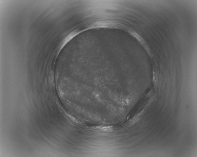 X0000078871465200612041945