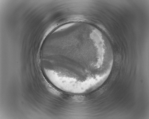 X0000078871466200612041945