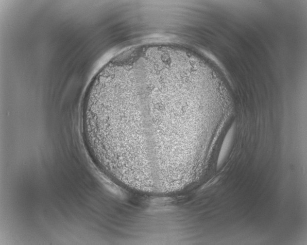 X0000078871467200612041945