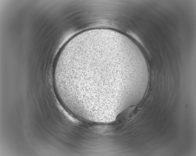 X0000078871468200612041945