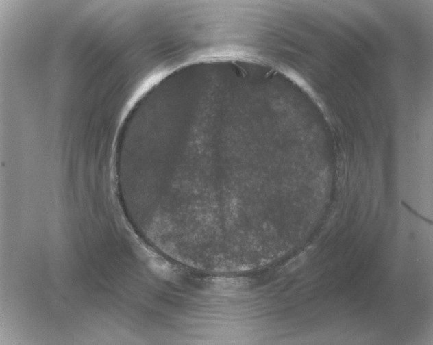 X0000078871469200612041945