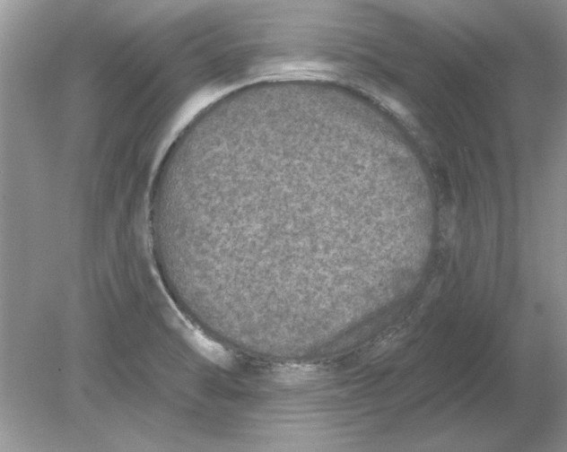 X0000078871470200612041945