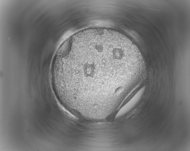 X0000078871471200612041945