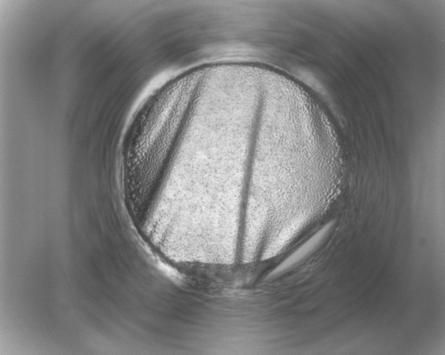 X0000078871472200612041945