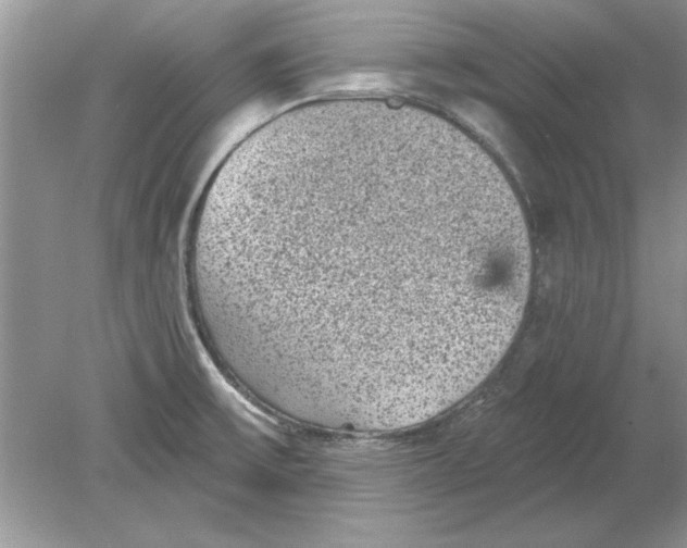 X0000078871475200612041945