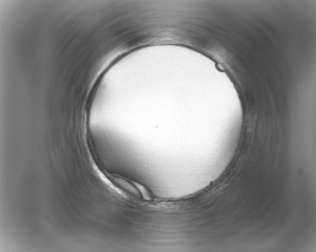 X0000078871476200612041945