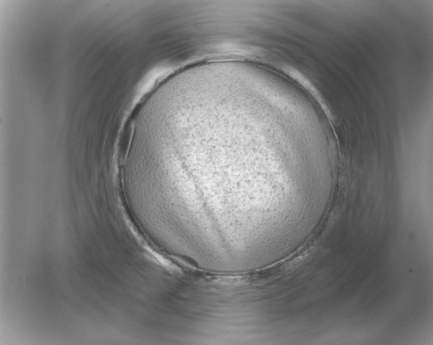 X0000078871477200612041945