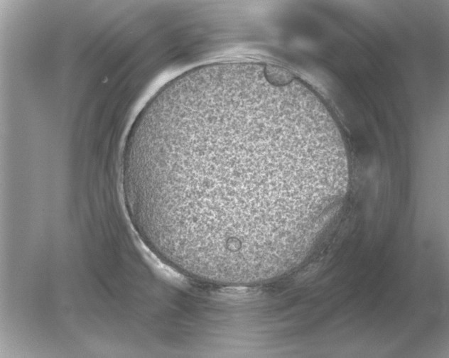 X0000078871478200612041945