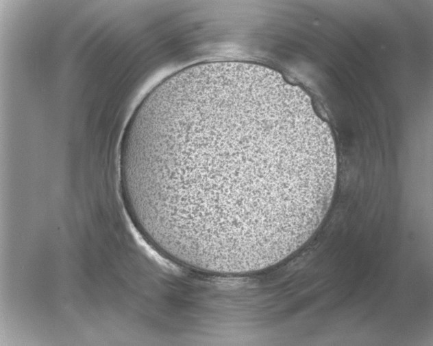 X0000078871479200612041945