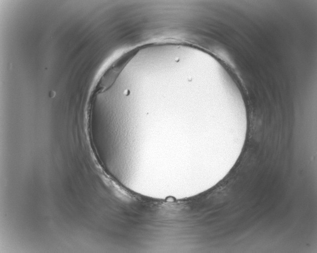 X0000078871480200612041945