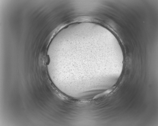 X0000078871481200612041945