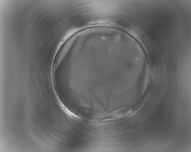 X0000078871482200612041945