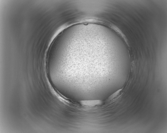 X0000078871483200612041945