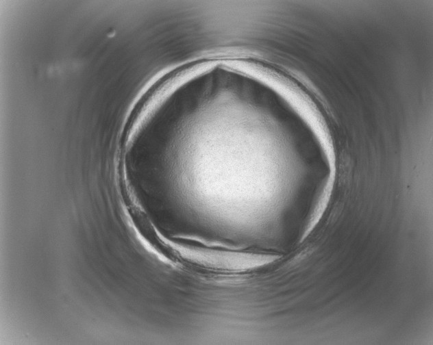 X0000078871484200612041945