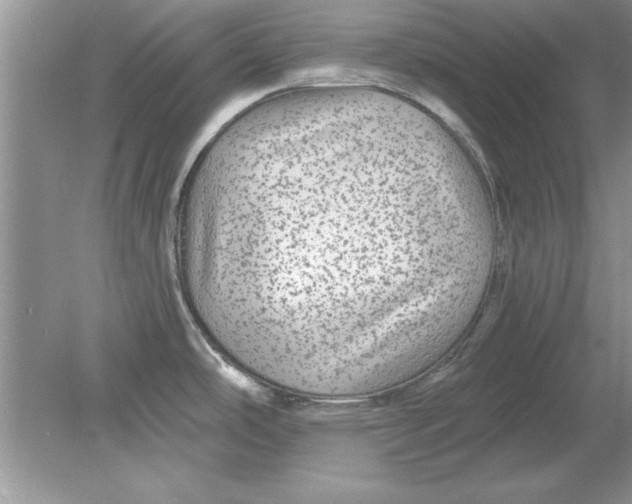 X0000078871486200612041945