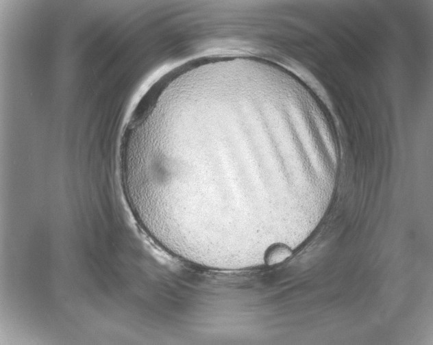 X0000078871488200612041945