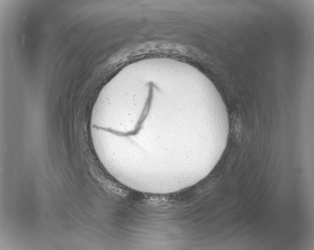 X0000078871489200612041944