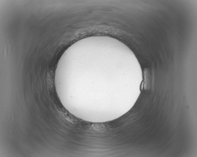 X0000078871491200612041944