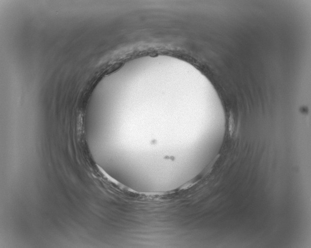 X0000078871492200612041944