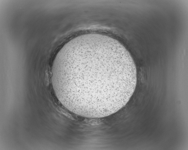 X0000078871493200612041944