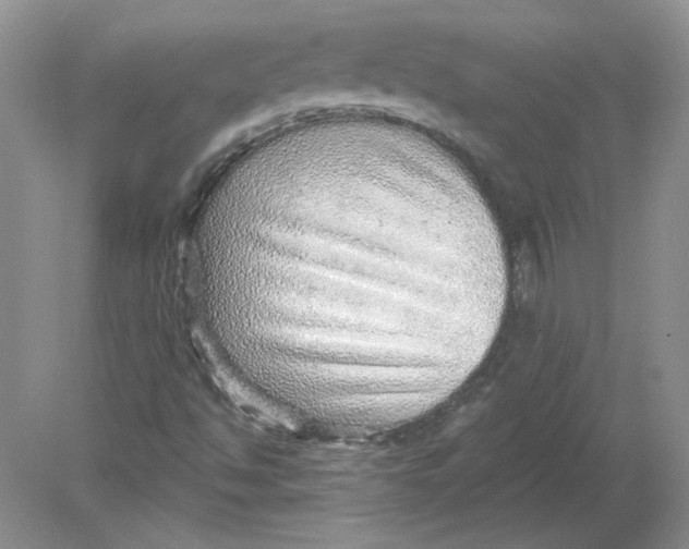 X0000078871494200612041944