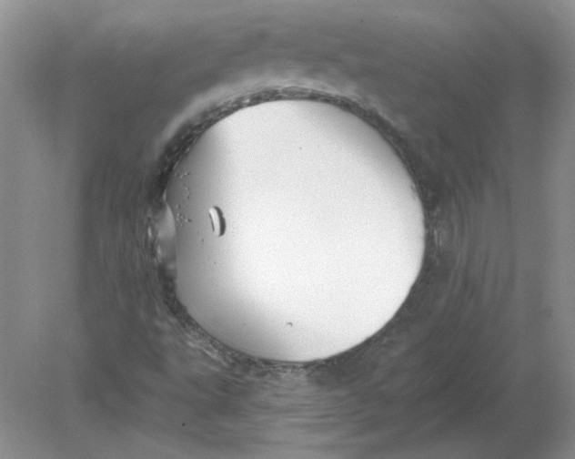 X0000078871495200612041944