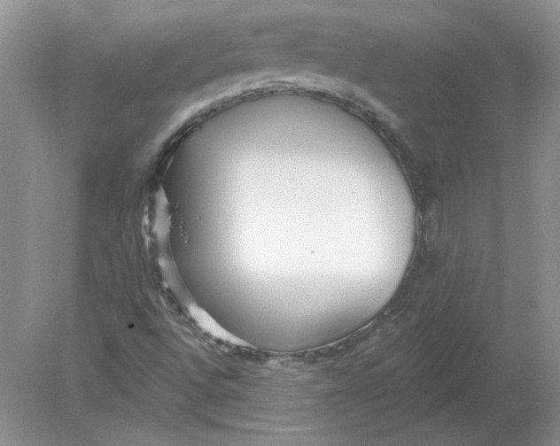 X0000078871496200612041944