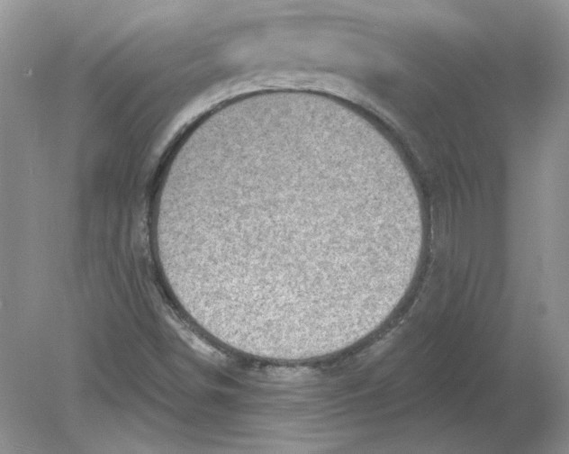 X0000078871498200612041944