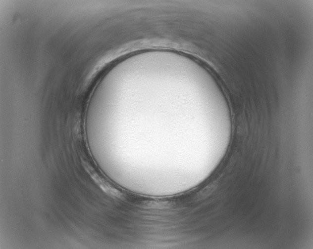 X0000078871499200612041944