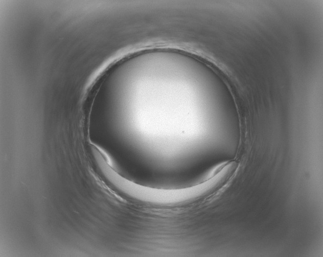 X0000078871502200612041944