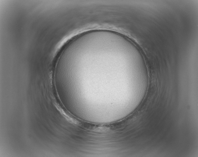 X0000078871503200612041944