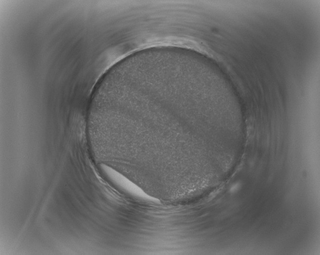 X0000078871505200612041944