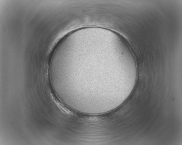 X0000078871507200612041944