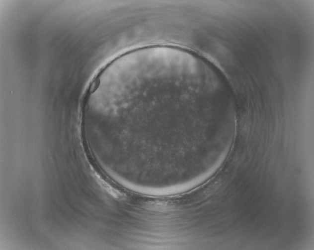 X0000078871508200612041944