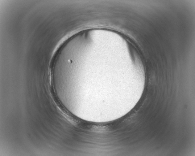 X0000078871509200612041944