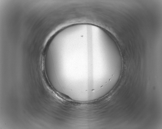 X0000078871510200612041945