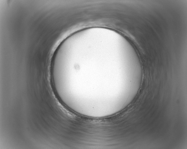 X0000078871512200612041945