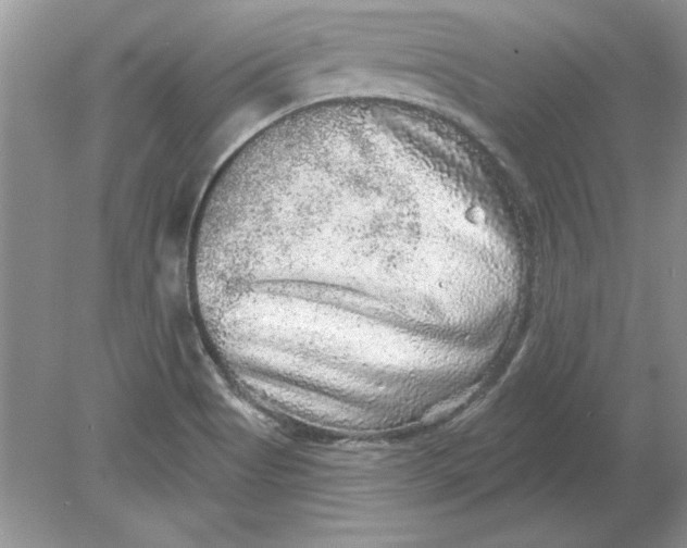 X0000078871513200612041945