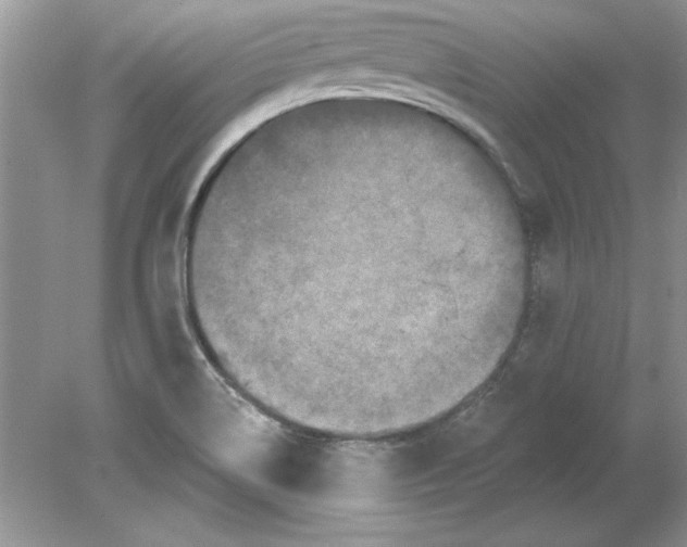 X0000078871514200612041945