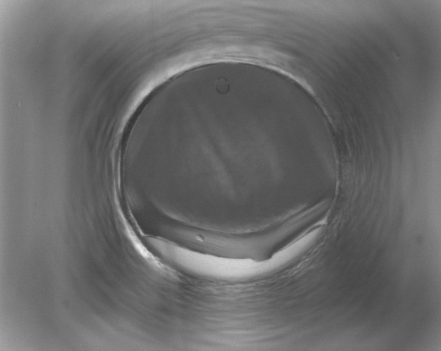 X0000078871515200612041945