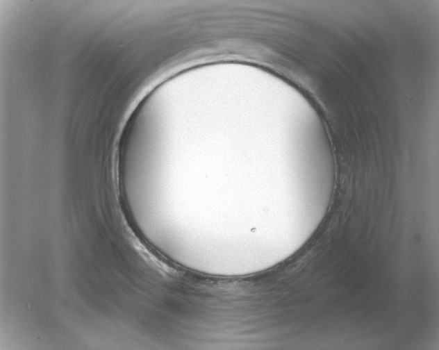 X0000078871516200612041945