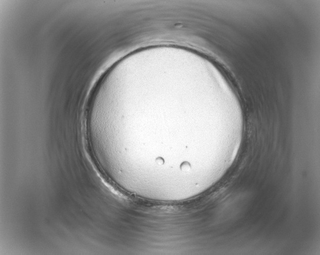 X0000078871517200612041945