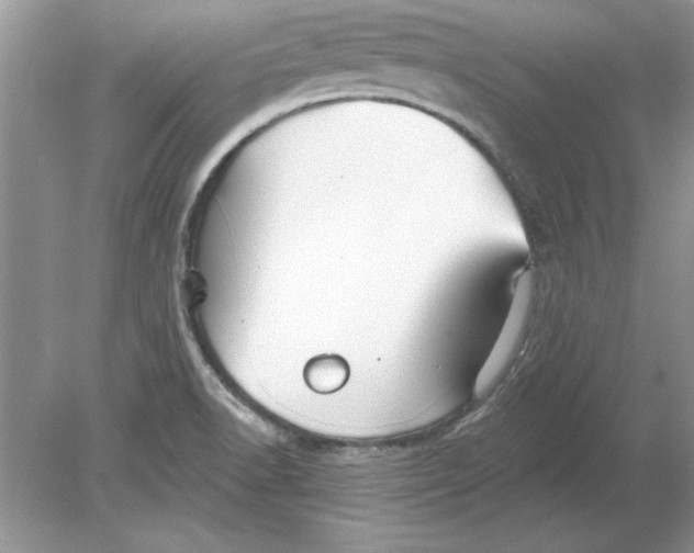 X0000078871518200612041945