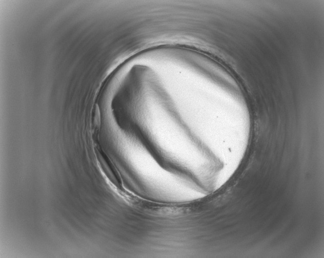 X0000078871521200612041945