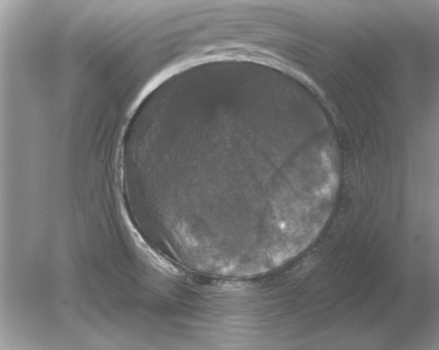 X0000078871522200612041945